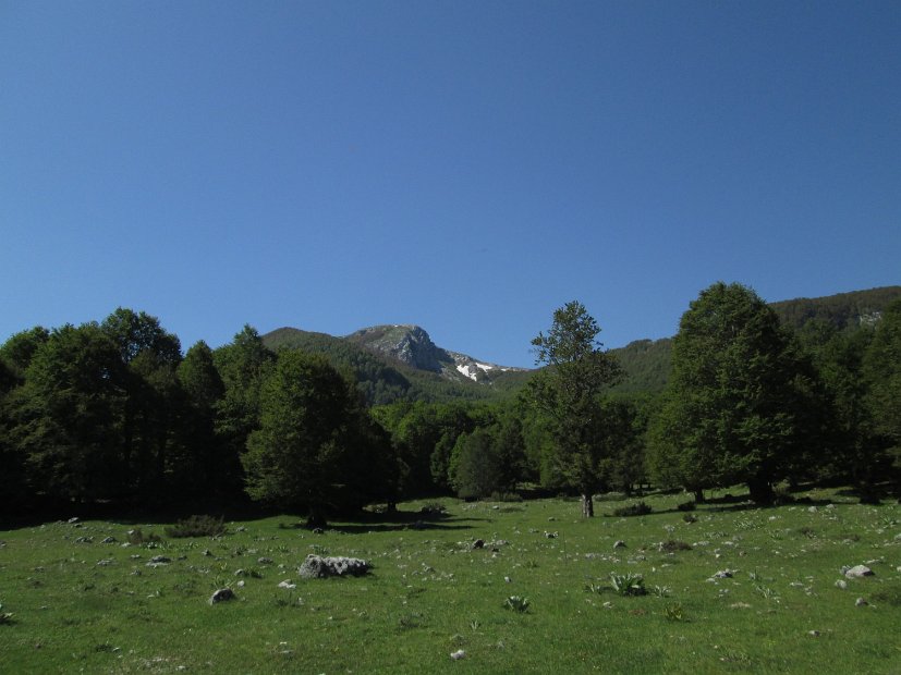 2013-06-16-Cotento-024