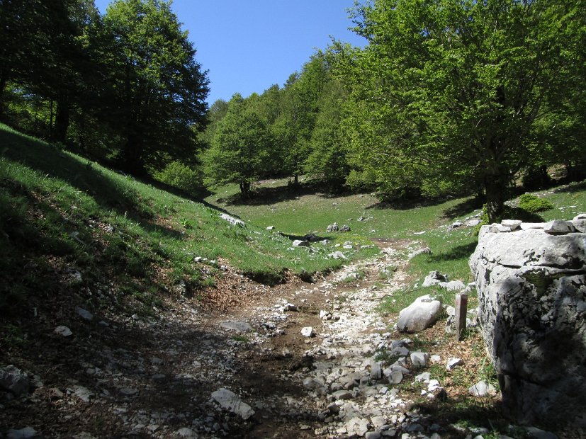 2013-06-16-Cotento-025