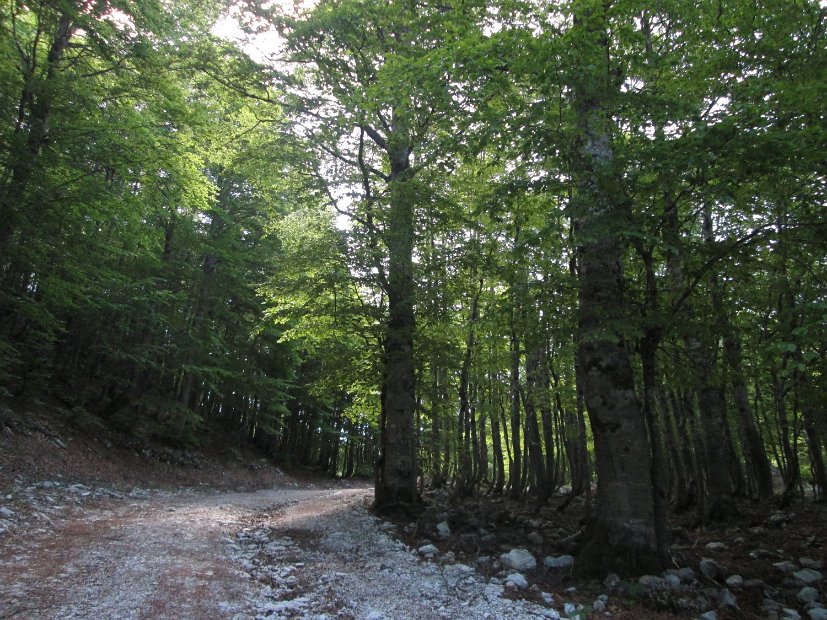 2013-06-16-Cotento-026