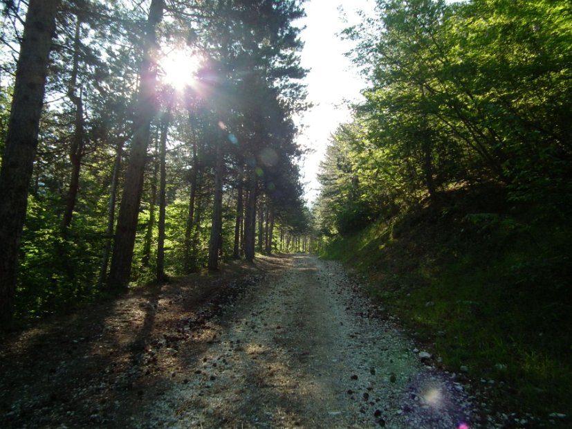 2013-07-01-Monte-Bove-010