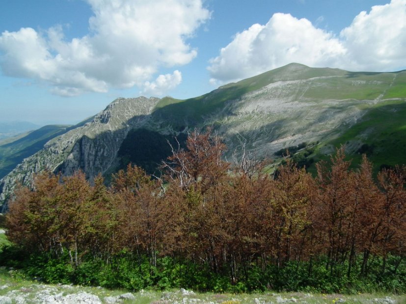2013-07-01-Monte-Bove-030