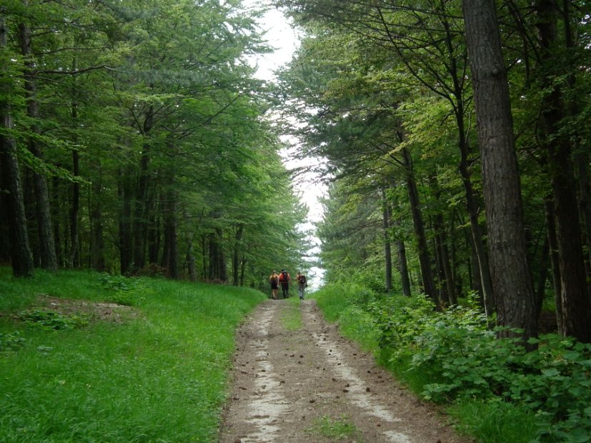2013-07-01-Monte-Bove-096