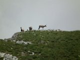 2013-07-01-Monte-Bove-057.jpg