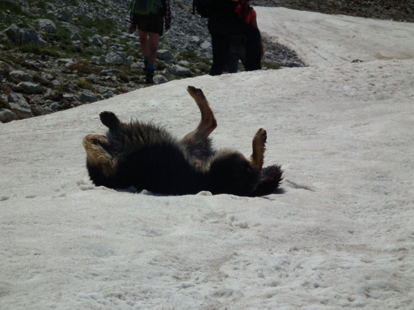 2013-07-03-Monte-Argentella-038