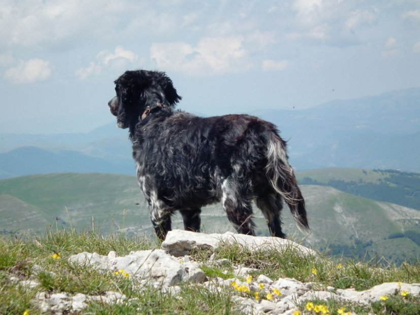 2013-07-03-Monte-Argentella-045