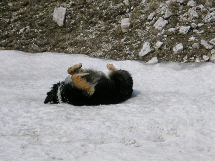 2013-07-03-Monte-Argentella-060