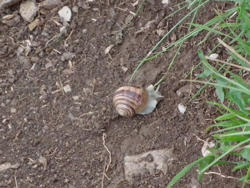 2013-07-04-Rifugio-Zilioli-020