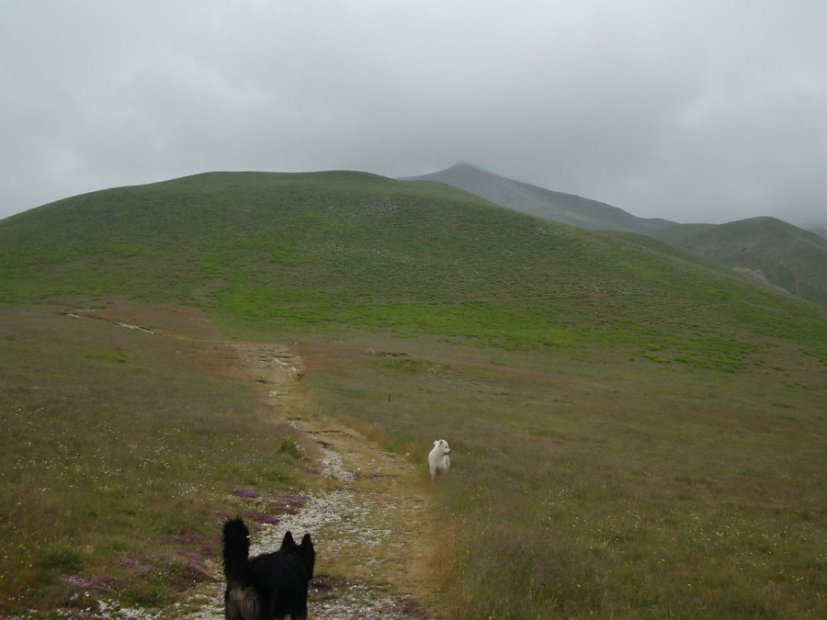 2013-07-04-Rifugio-Zilioli-029