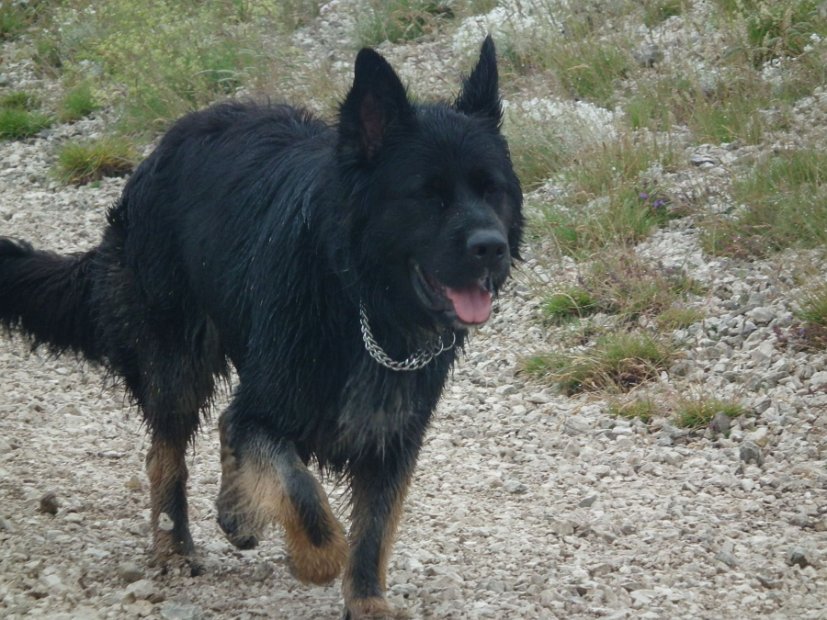 2013-07-04-Rifugio-Zilioli-030