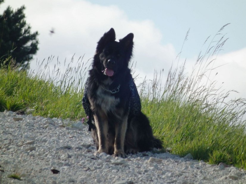 2013-07-05-Passo-Cattivo-006