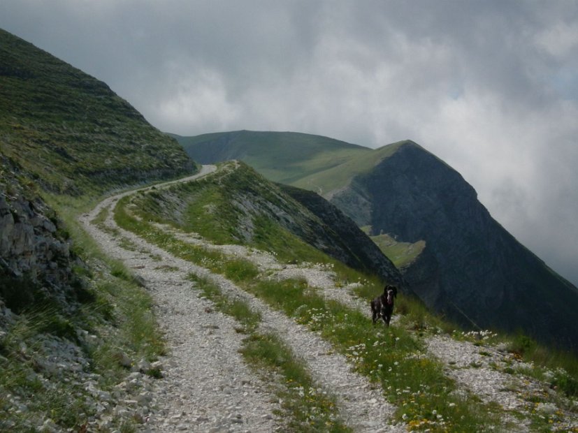 2013-07-05-Passo-Cattivo-013