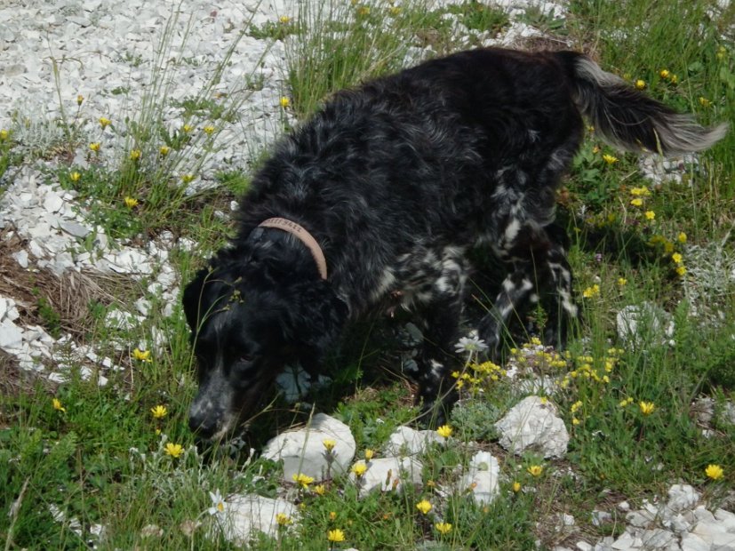 2013-07-05-Passo-Cattivo-014