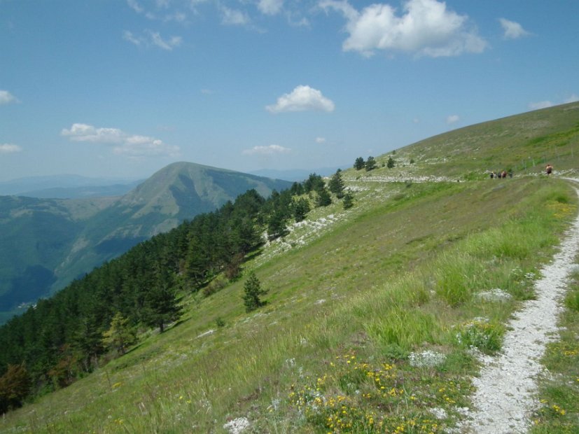 2013-07-05-Passo-Cattivo-026