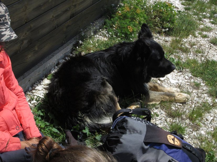 2013-07-05-Passo-Cattivo-028