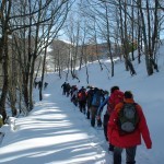 2012-02-18 Monte Pellecchia 0253