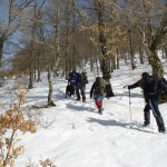 2012-02-18 Monte Pellecchia 0336