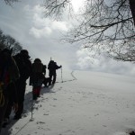 2012-02-18 Monte Pellecchia 0420