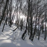 2012-02-18 Monte Pellecchia 0754