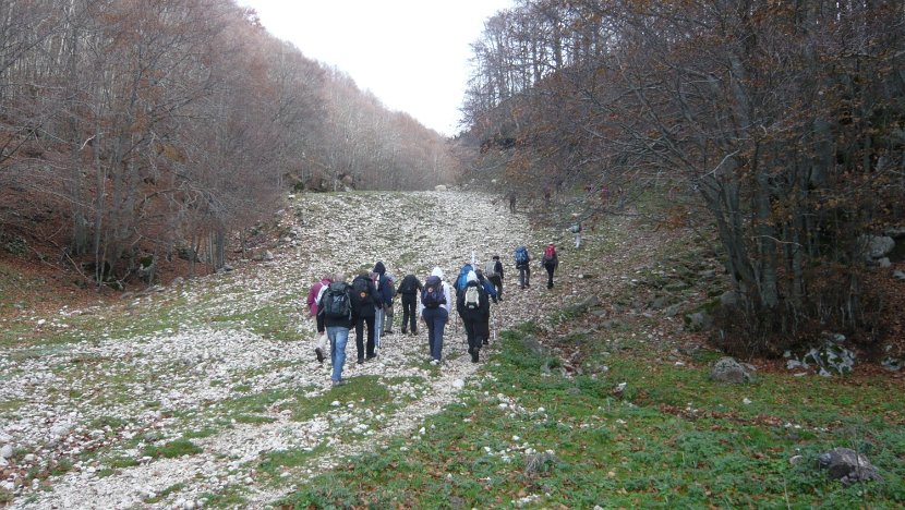 2012-11-10-Cavallo-Forcellone-007