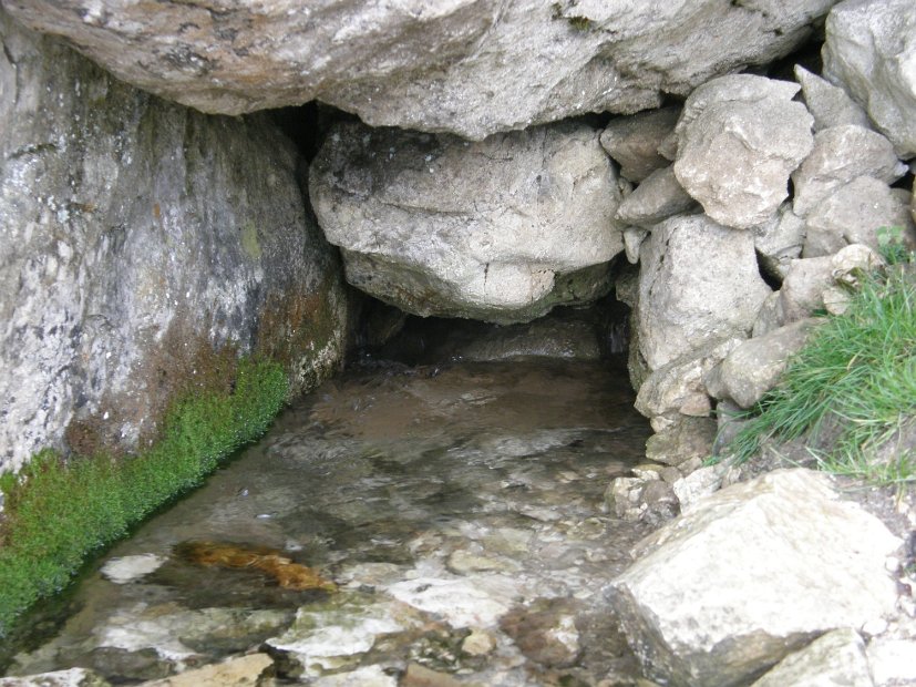 2012-11-10-Cavallo-Forcellone-021