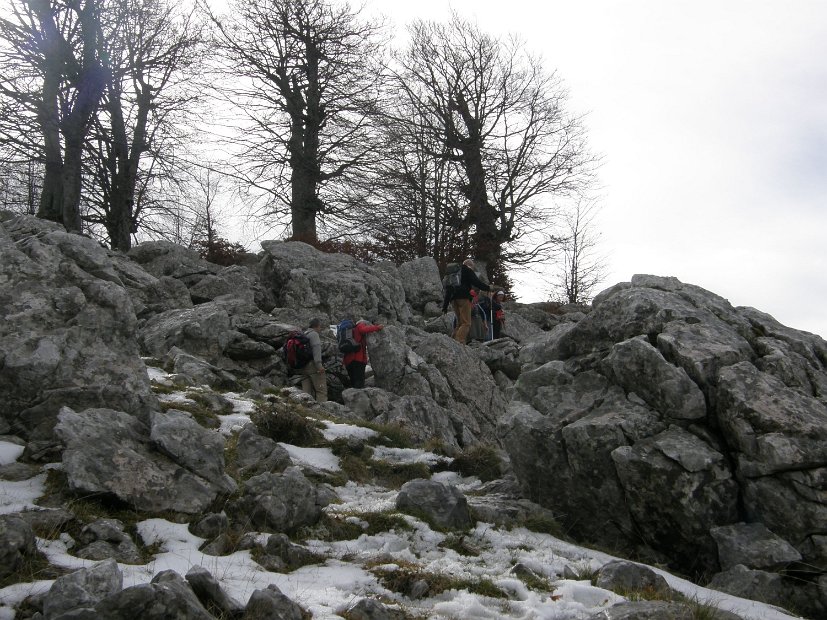 2012-11-10-Cavallo-Forcellone-028