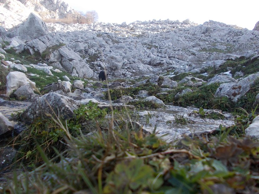 2012-11-10-Cavallo-Forcellone-067