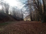 2012-11-10-Cavallo-Forcellone-075.jpg